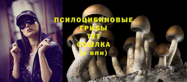трава Аркадак