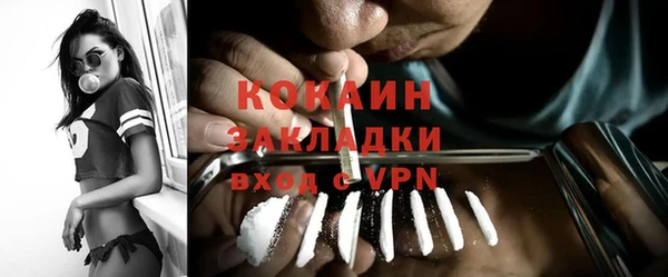 молекула духа Арсеньев