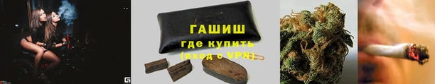 трава Аркадак