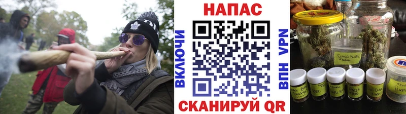 наркотики  Пустошка  Канабис тримм 
